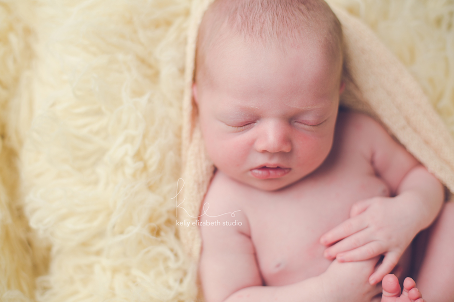 Kelly Elizabeth Studio - Rochester Newborn Photography 10
